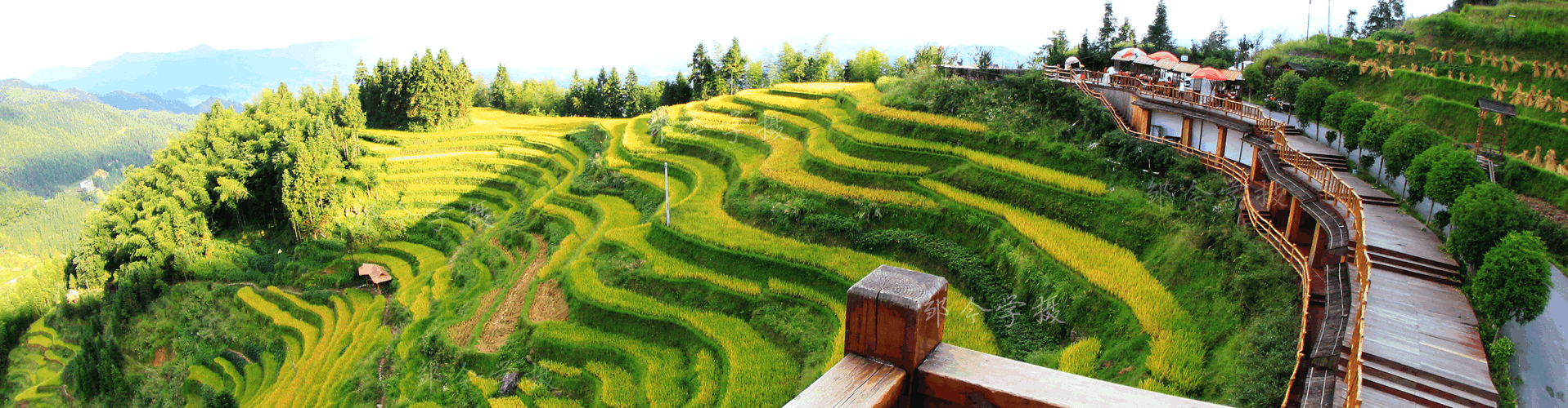 紫鵲界住宿