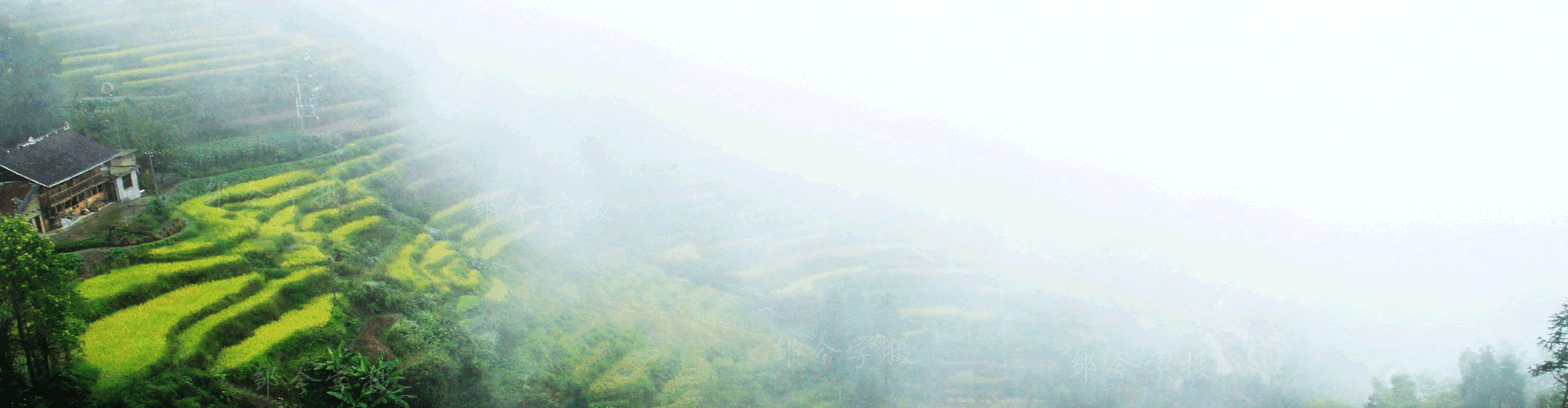 紫鵲界農(nóng)家樂