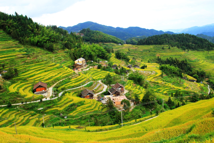 紫鵲界旅游攻略
