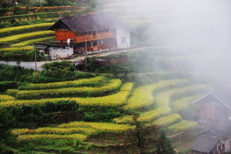 陽光餐廳中心
