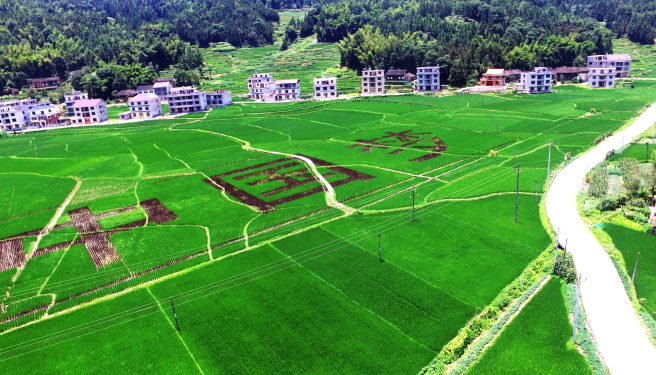 紫鵲界中國(guó)夢(mèng)